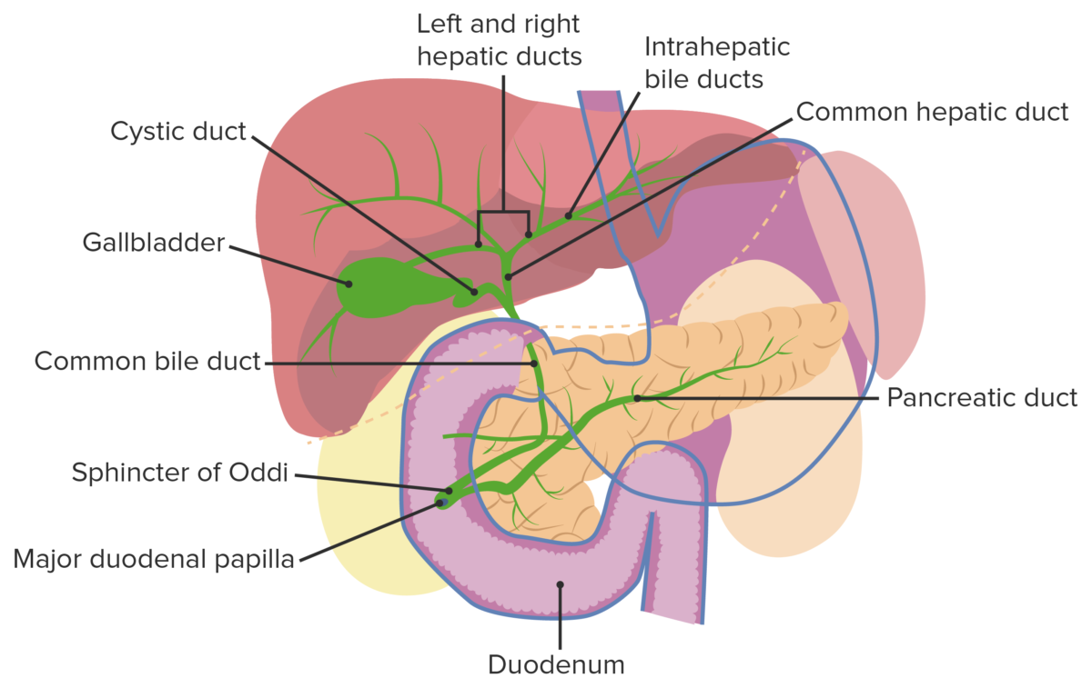 Cholangitis