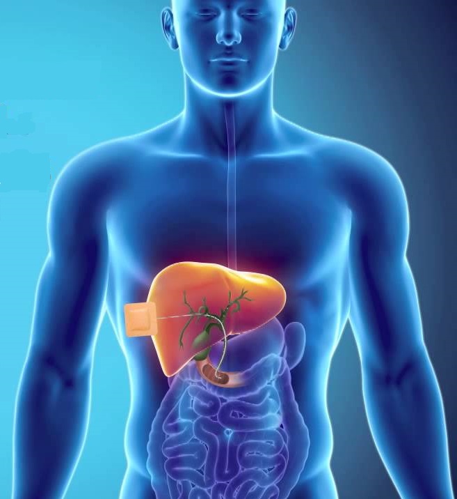 Percutaneous Transhepatic Biliary Drainage (PTBD)- Procedure, Benefits, Complications and more