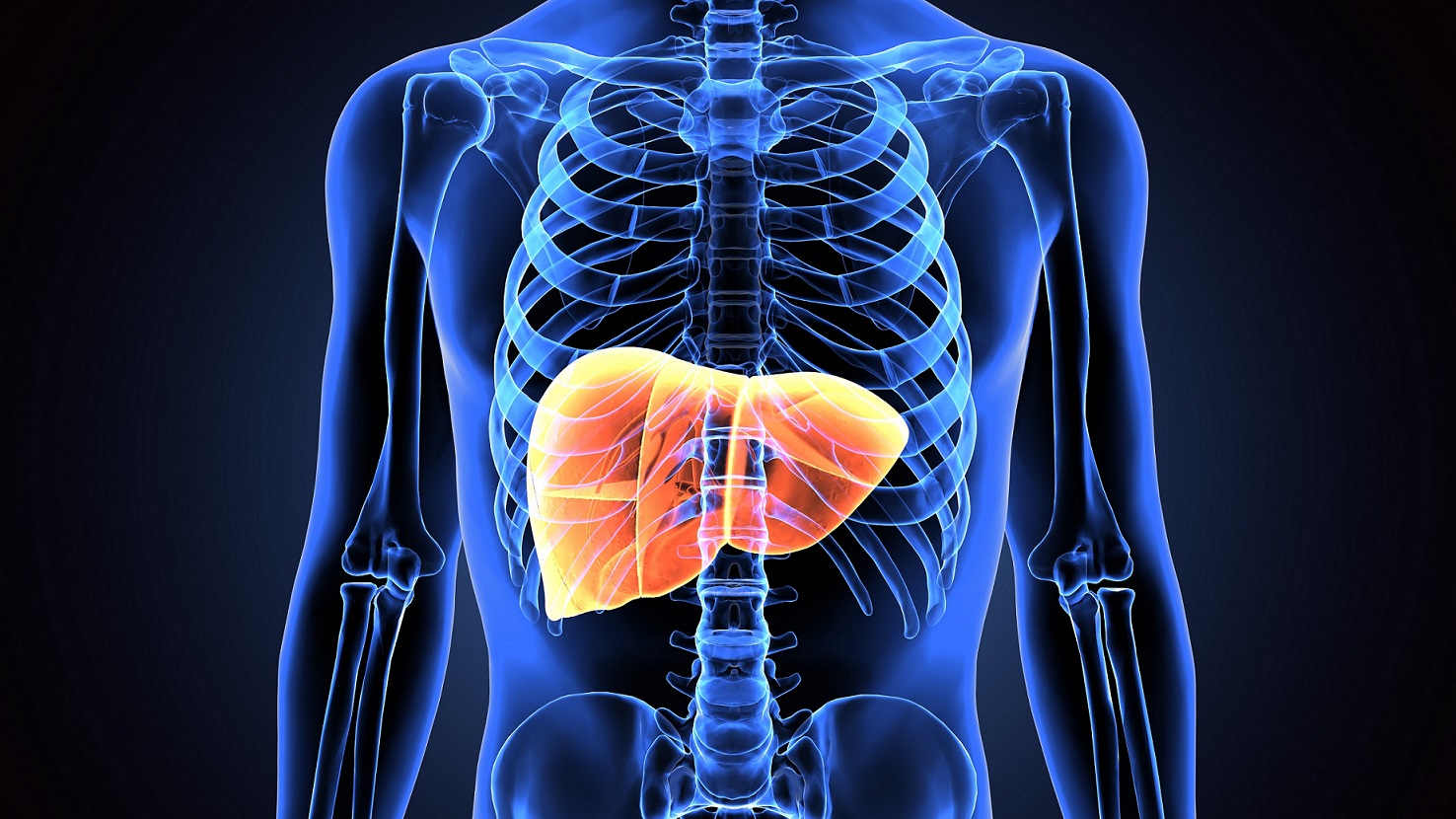 Liver Cancer- What it is and What are its Risk Factors?