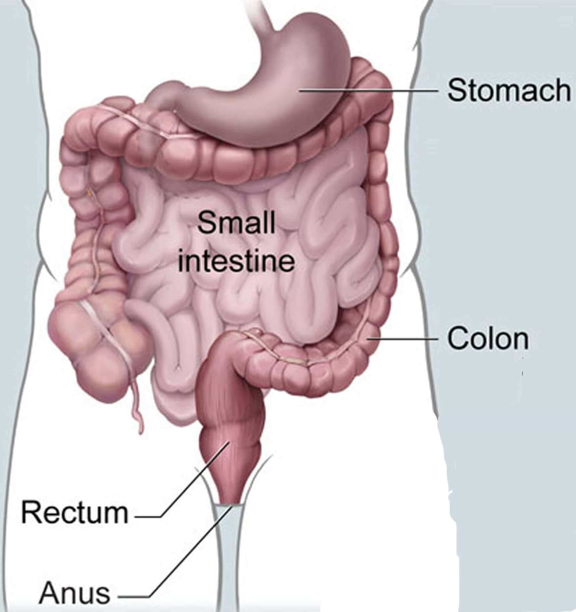 Colon Rectum Cancer Surgery