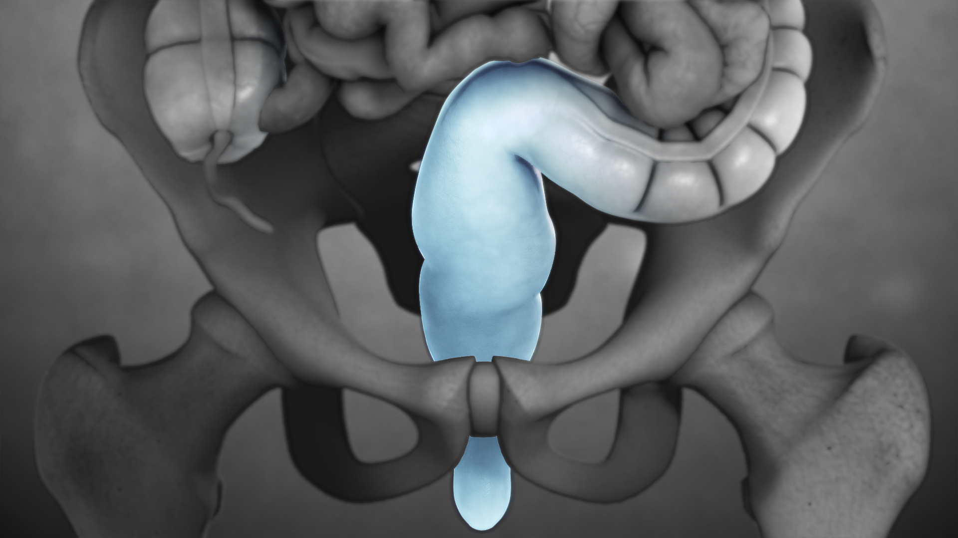 Rectum- Anatomy, Functions and Conditions