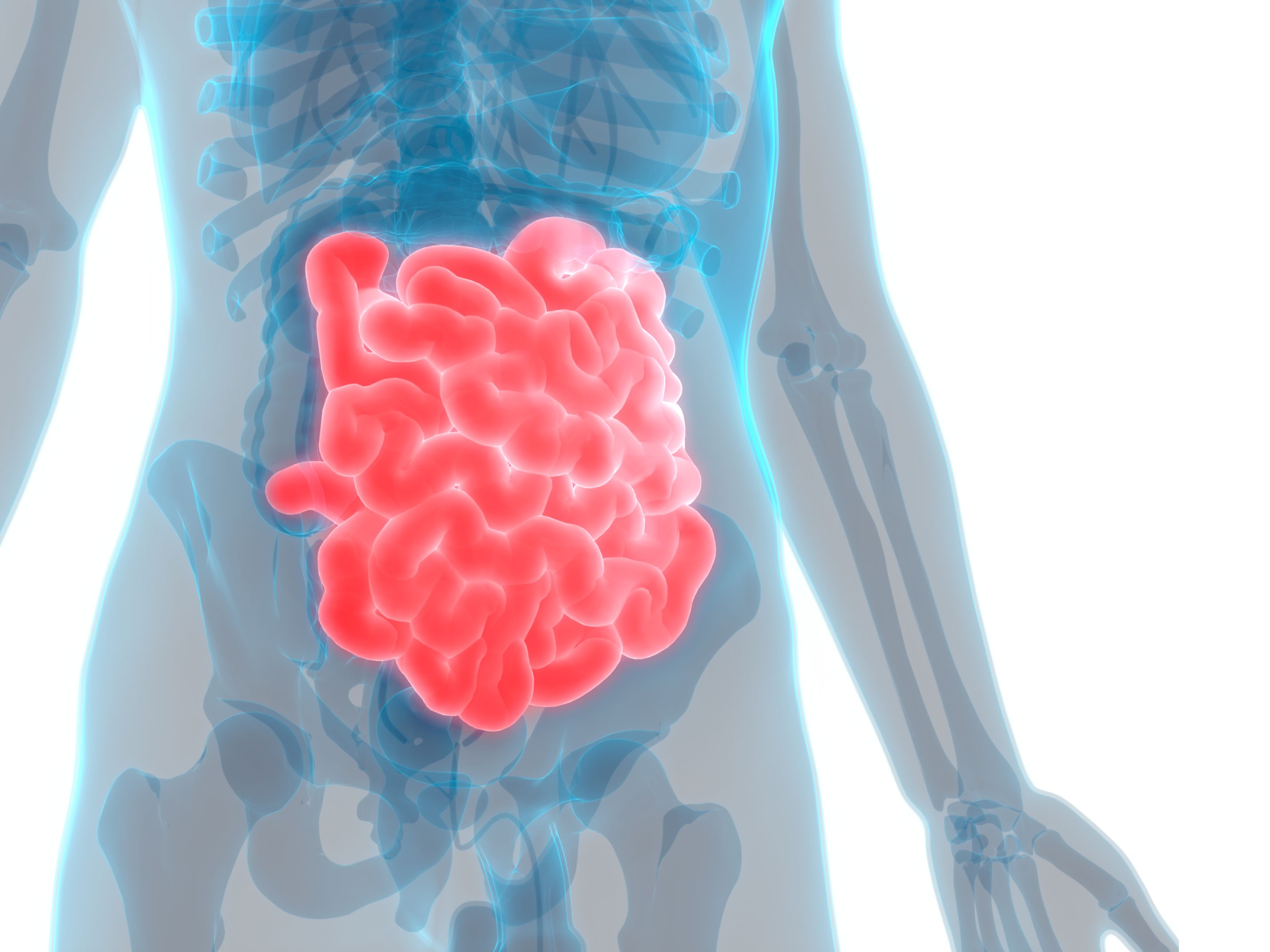 small bowel bleeding